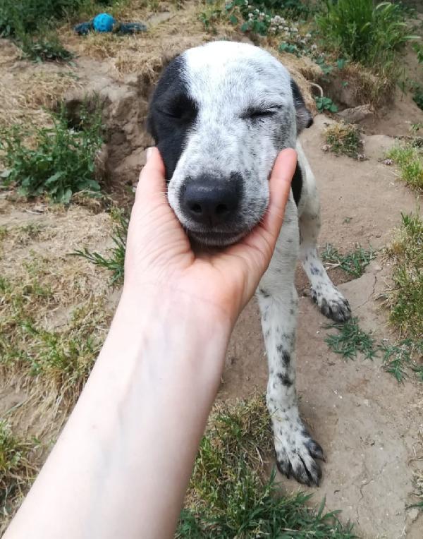 UNA MAMMA PER PEPA Foto 4