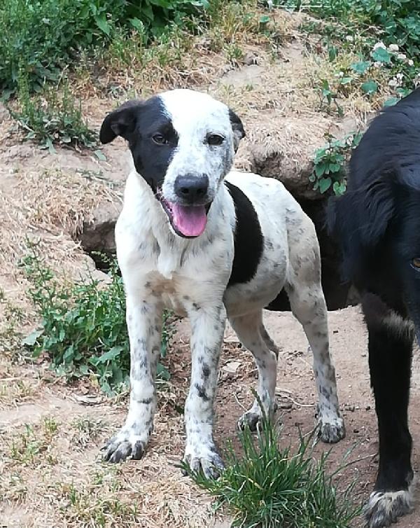 UNA MAMMA PER PEPA Foto 5