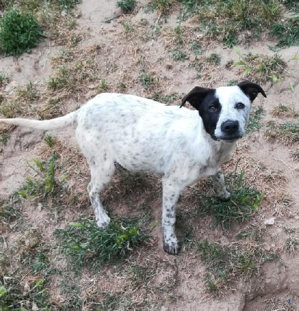 UNA MAMMA PER PEPA Foto 6