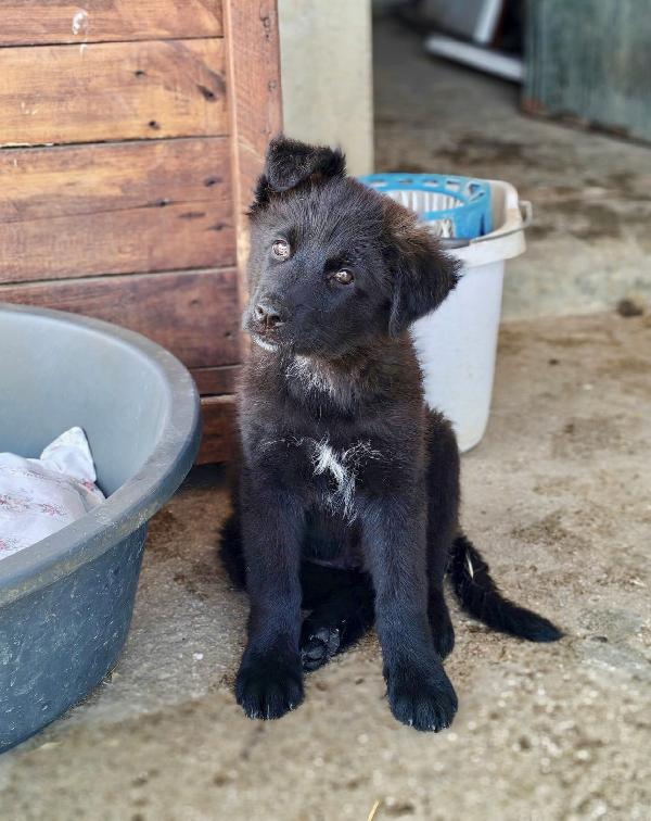 Danny cerca casa 💙 Foto 2