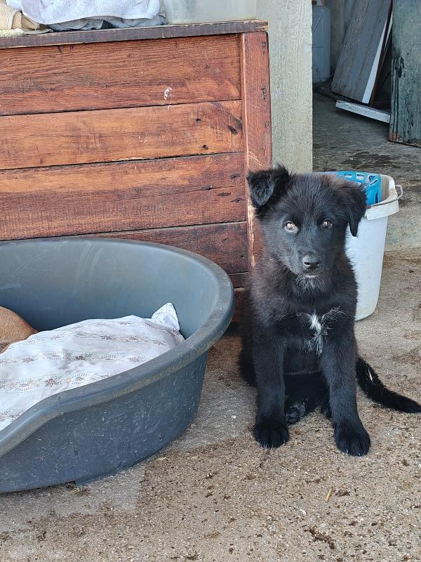 Danny cerca casa 💙 Foto 4