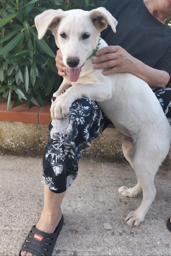 Lady cerca casa Foto 2