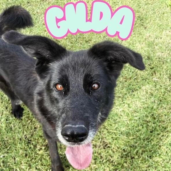 Gilda, Un Cuore Un'anima
