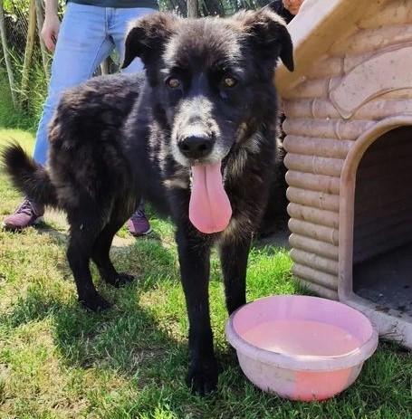 GILDA, un cuore un'anima Foto 3