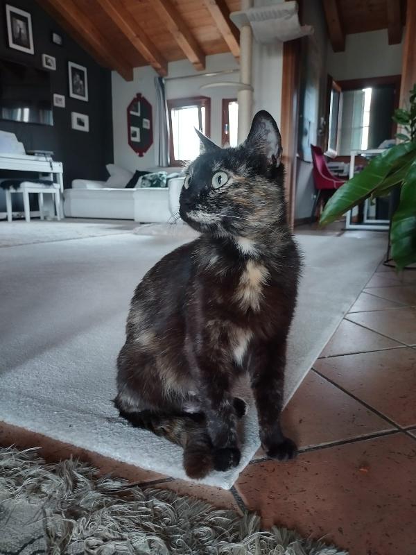 UNA FAMIGLIA ANCHE PER MAMY Foto 3