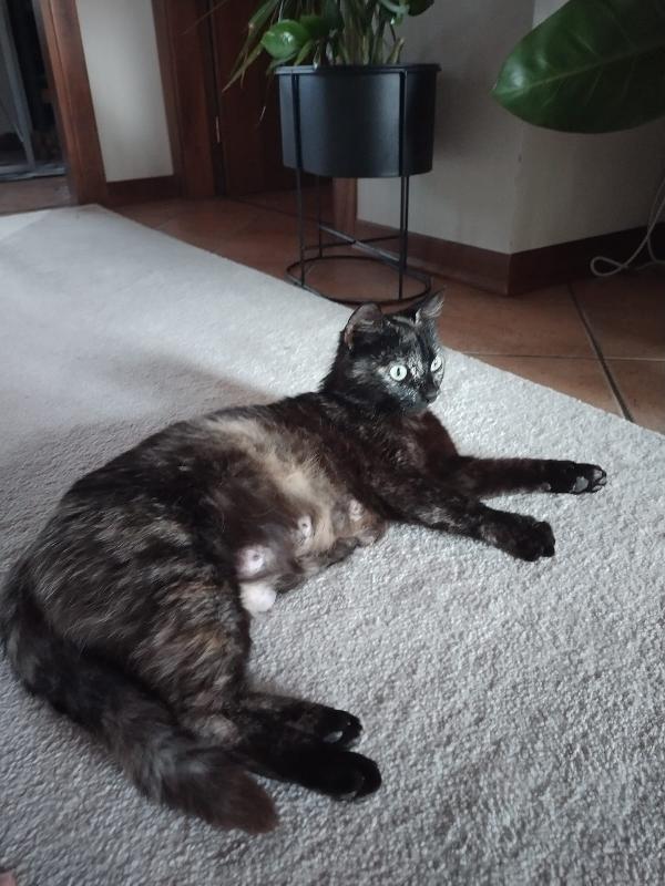 UNA FAMIGLIA ANCHE PER MAMY Foto 4