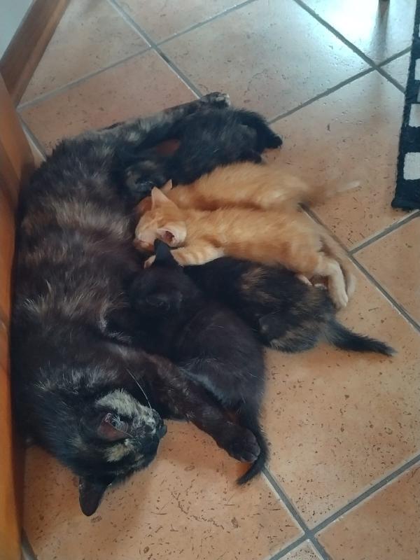 UNA FAMIGLIA ANCHE PER MAMY Foto 5