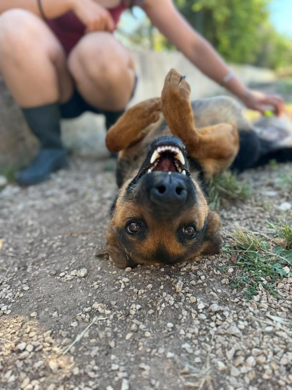 Pepita Foto 2