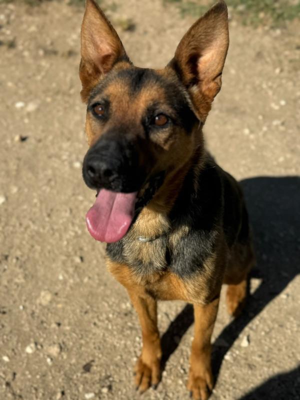 Pepita Foto 6