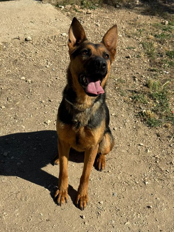 Pepita Foto 7