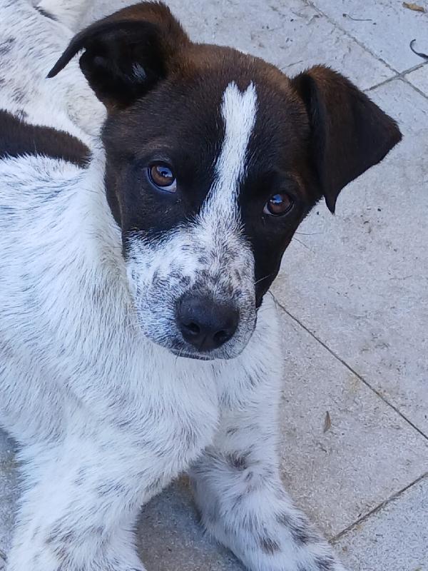 Macchia Foto 2