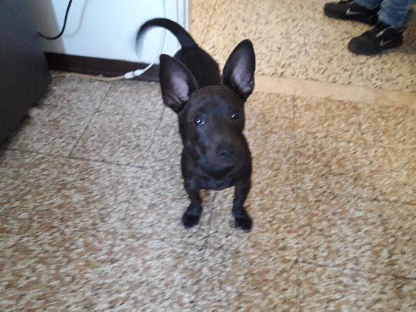 Wind Foto 2