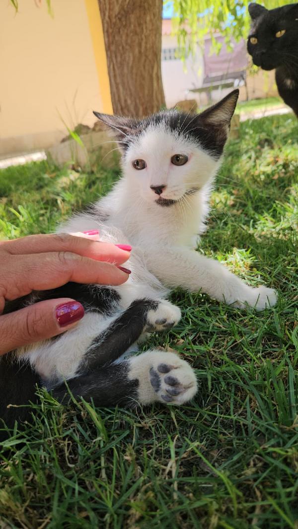 Ginu: Maschietto 5 Mesi