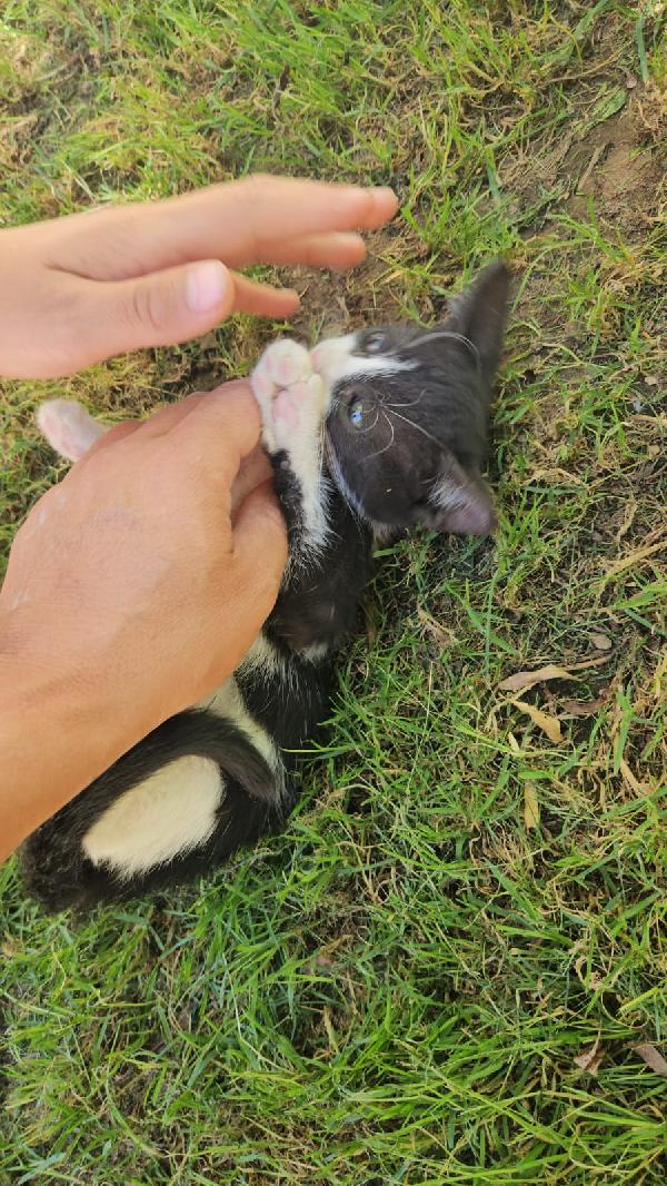 Frida: femminuccia 3 mesi  Foto 3