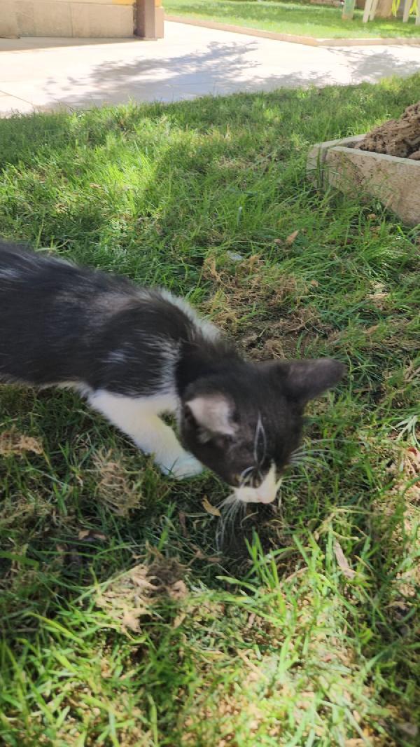 Frida: femminuccia 3 mesi  Foto 4