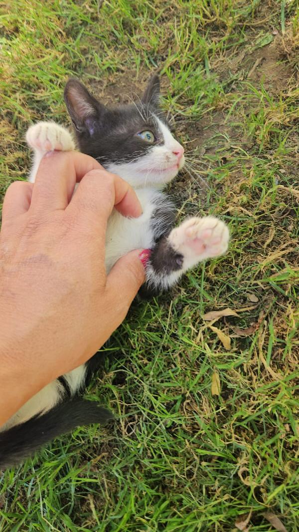 Frida: femminuccia 3 mesi  Foto 5