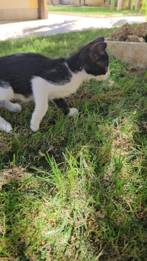 Frida: femminuccia 3 mesi  Foto 6