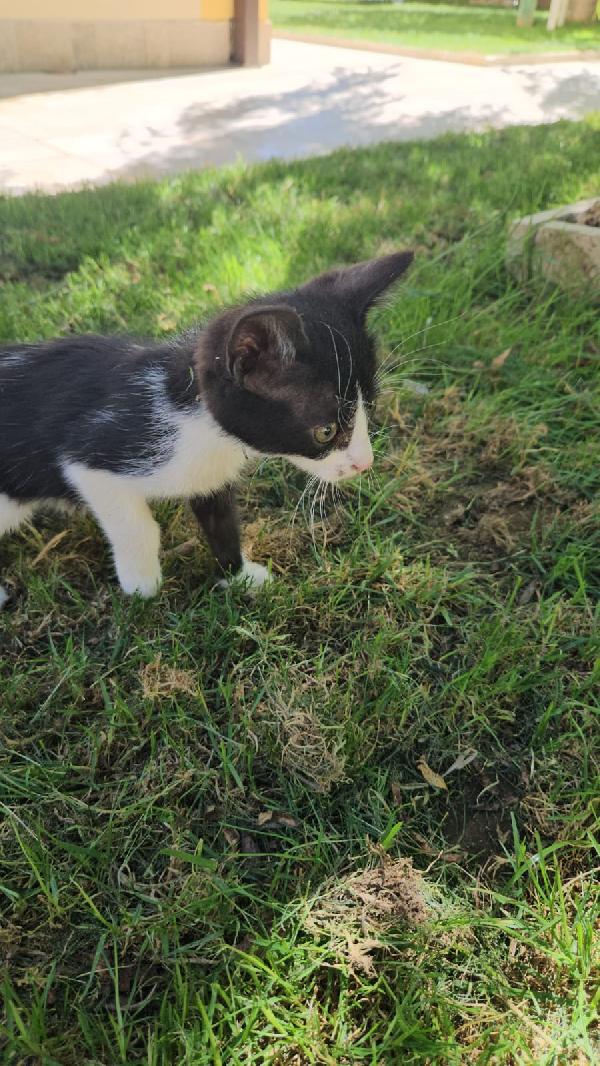 Frida: femminuccia 3 mesi  Foto 7