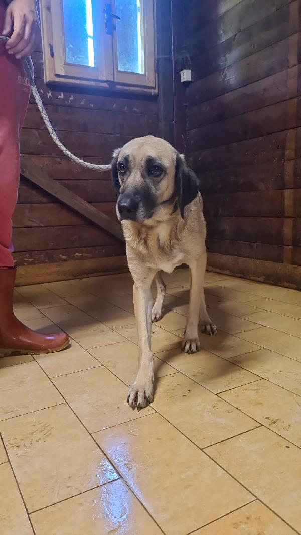 Perla
