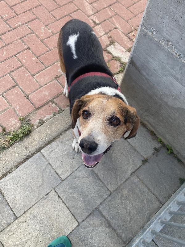 Oscar Foto 4