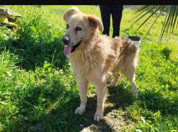 Giorgio 12Anni Uno Dei Tanti Dimenticati! Matera