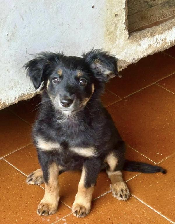 Alma Foto 2