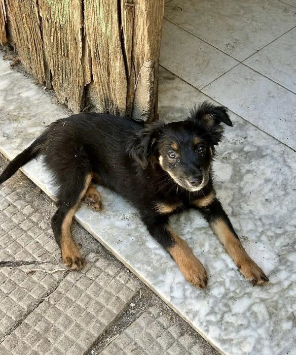 Alma Foto 4