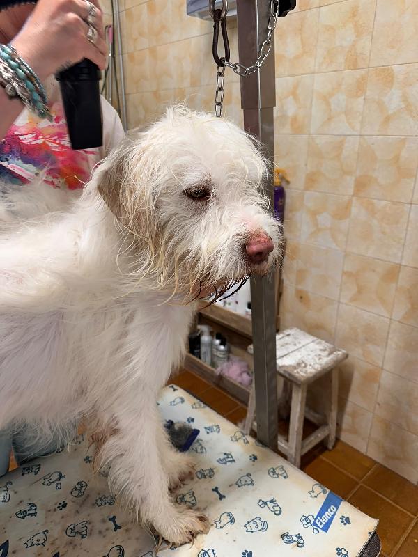 Buttato via dalla sua famiglia: 2 anni Foto 2