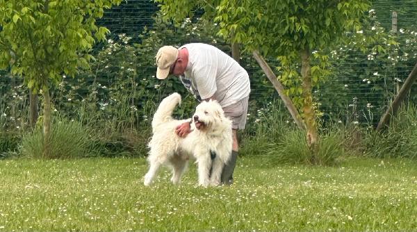 Buttato via dalla sua famiglia: 2 anni Foto 6