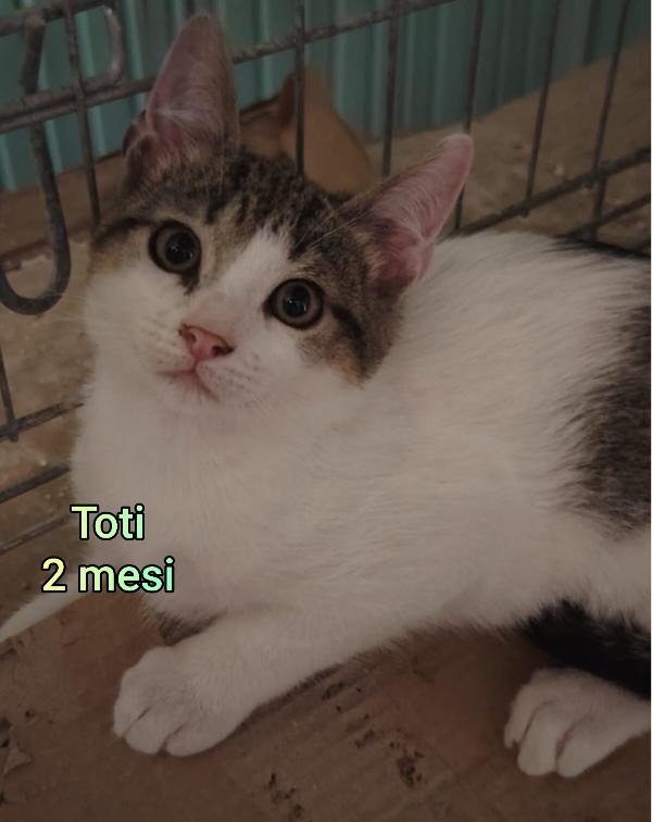 TANTI MICINI SOLI Foto 7