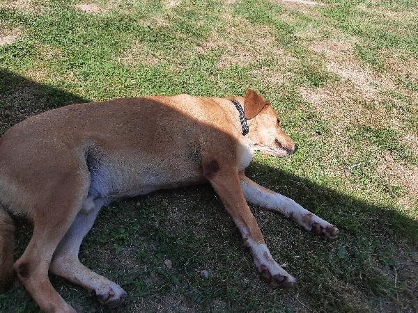 ULISSE Foto 2