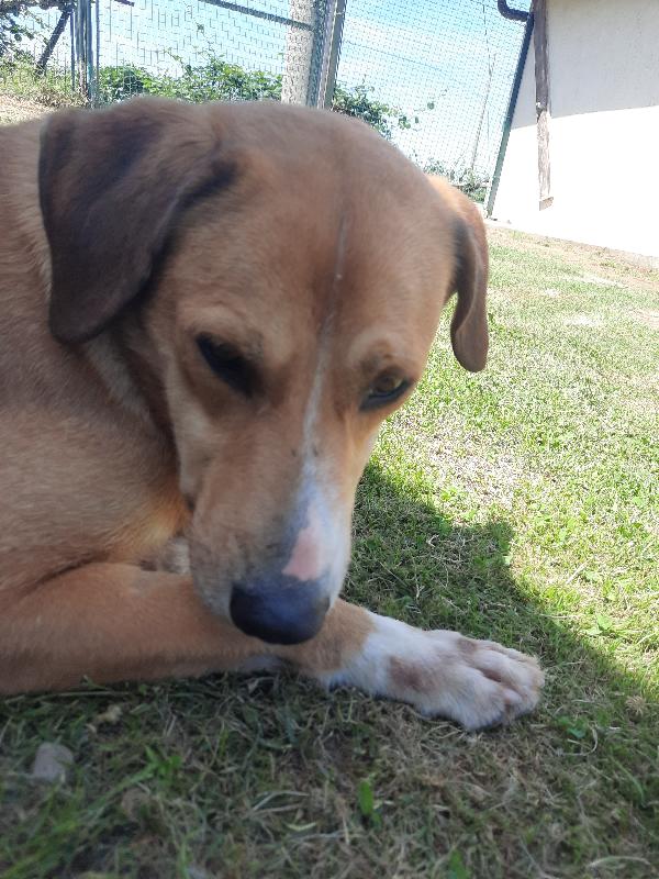 ULISSE Foto 3