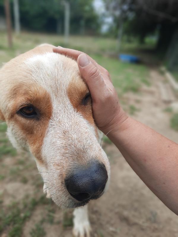 ULISSE Foto 7