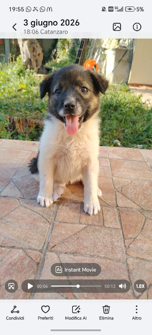 Dalila  Foto 2