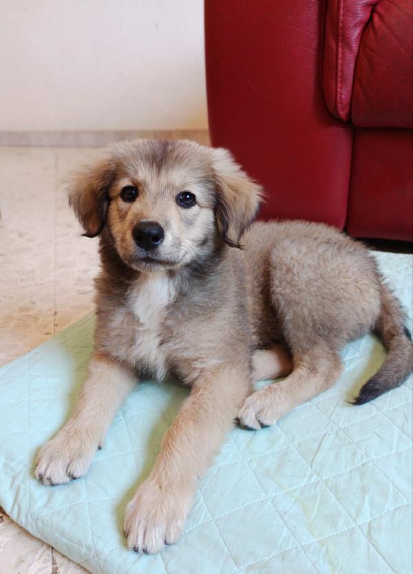 LYUBA Foto 3