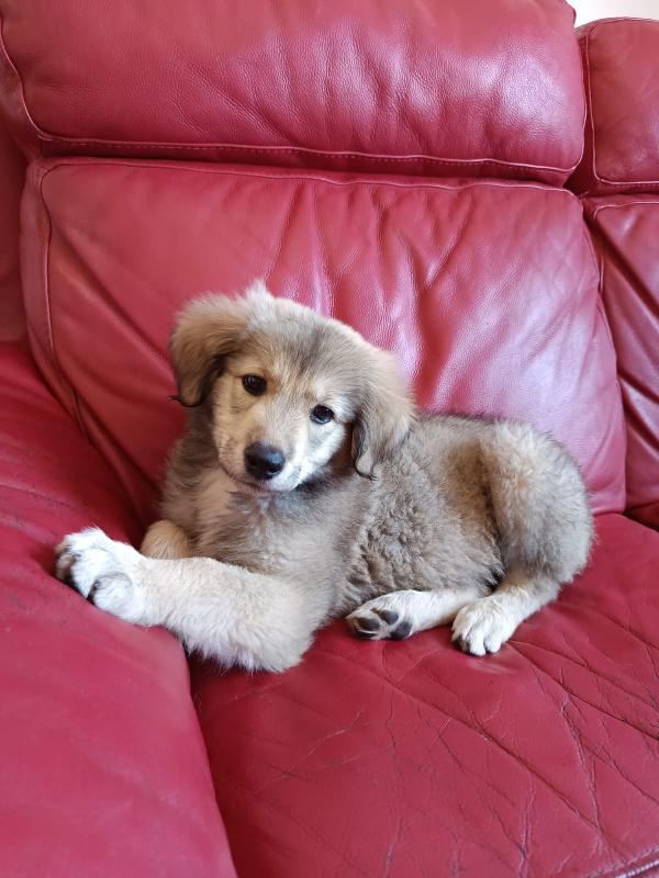 LYUBA Foto 6