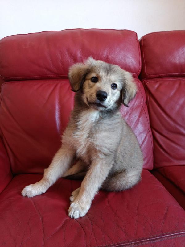 LYUBA Foto 7