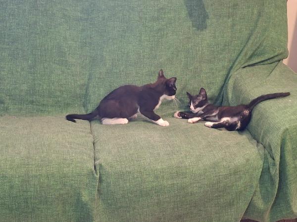 Margot e Lupin  Foto 3