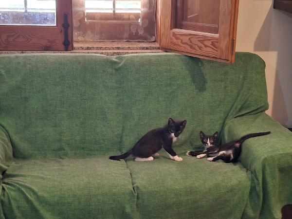 Margot e Lupin  Foto 4