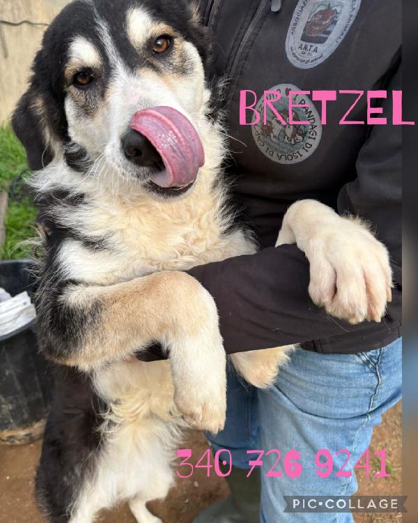 Bretzel💖