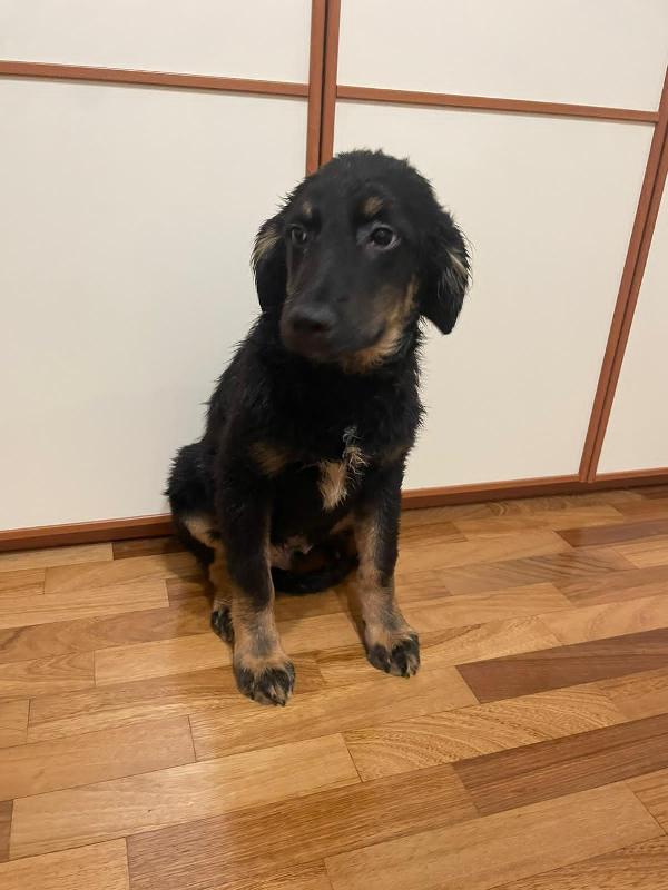 Kiwi 5 Mesi