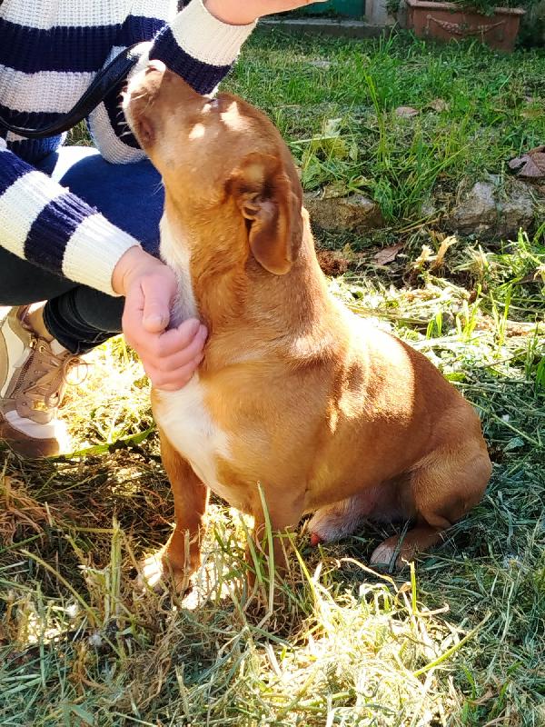 Nando TAGLIA piccola  Foto 3