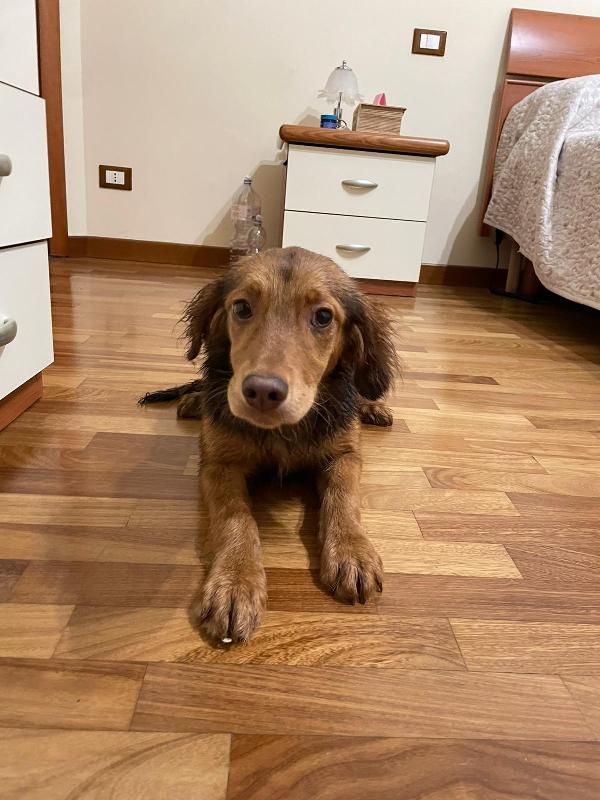 Maddy 5 Mesi