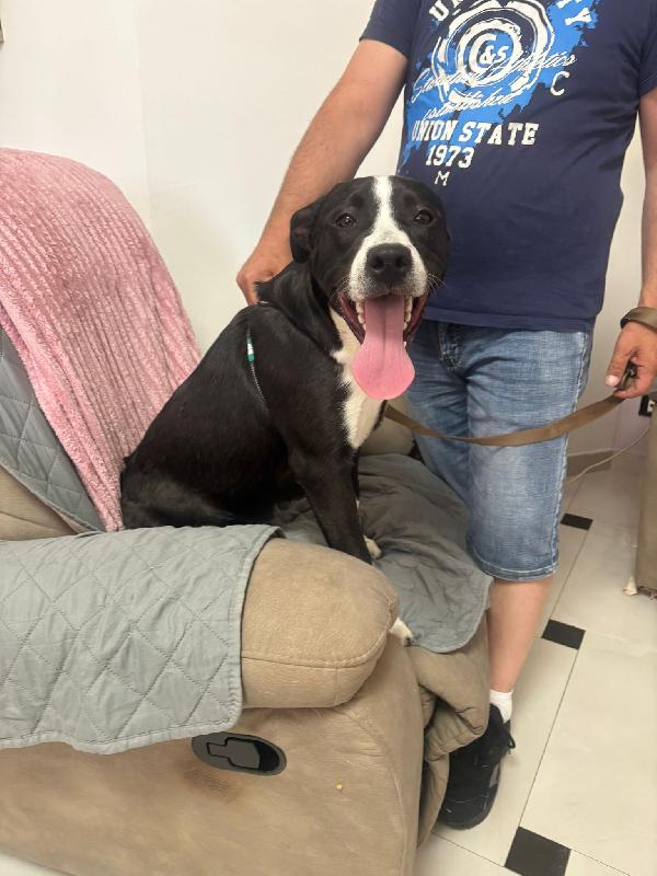 Luna 5 Mesi