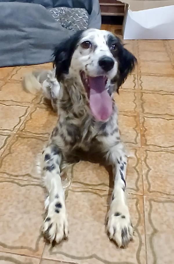 Zayra  Foto 6