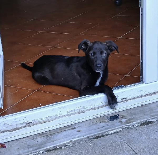 Totò  Foto 6