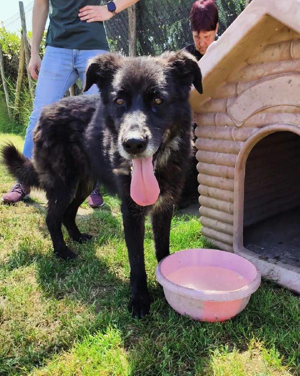 Gilda, oltre il suo manto nero c'è di più💚 Foto 2