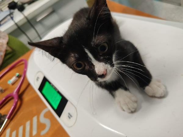 Margot  Foto 5