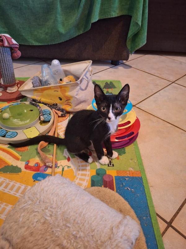 Margot  Foto 6