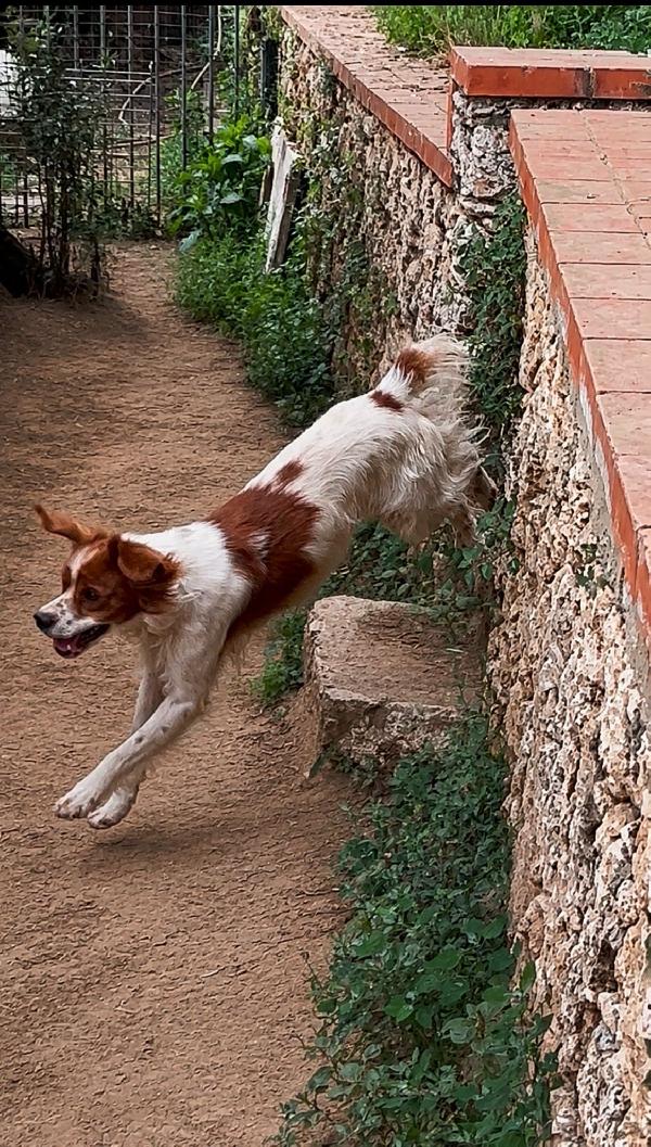 Poli Foto 3
